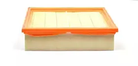 BSG 30-135-003 BSG Воздушный фильтр